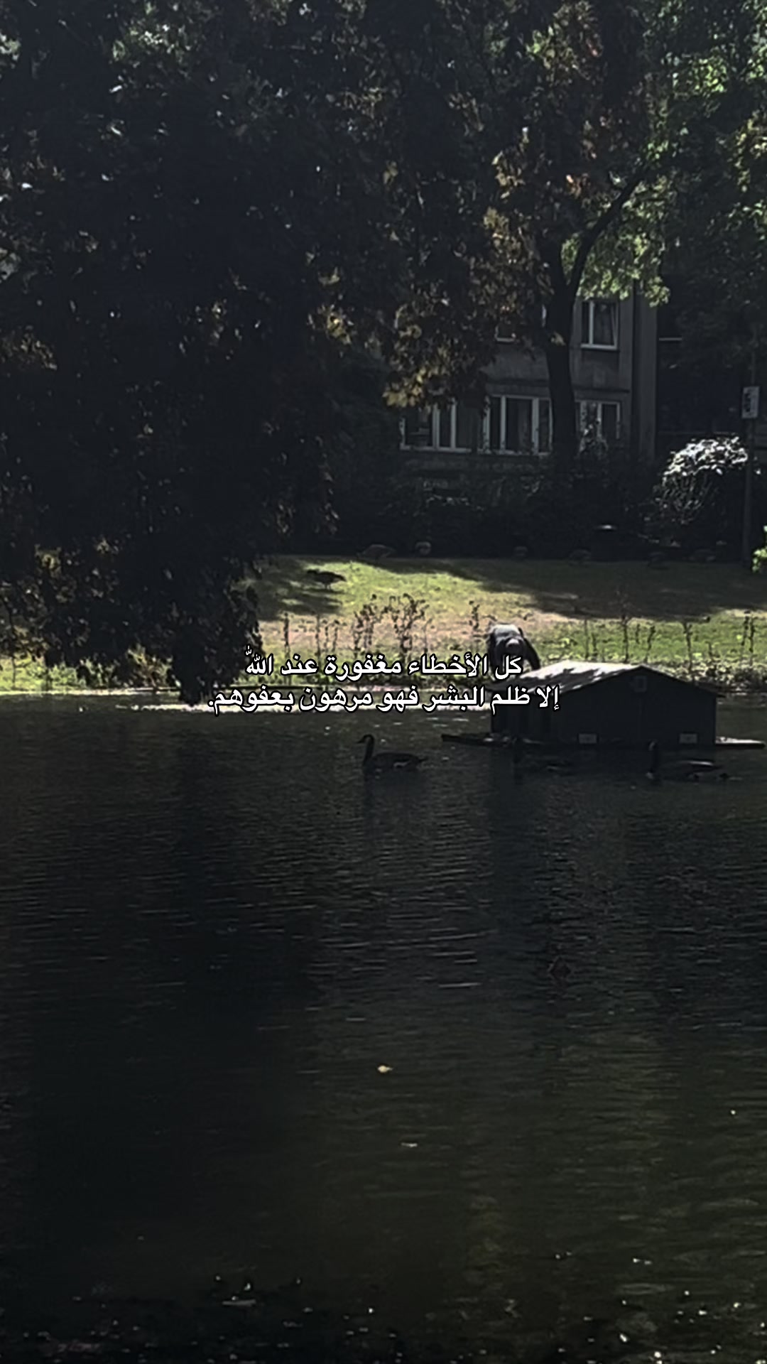 @رٌ | 𝟏𝟗𝟗𝟓