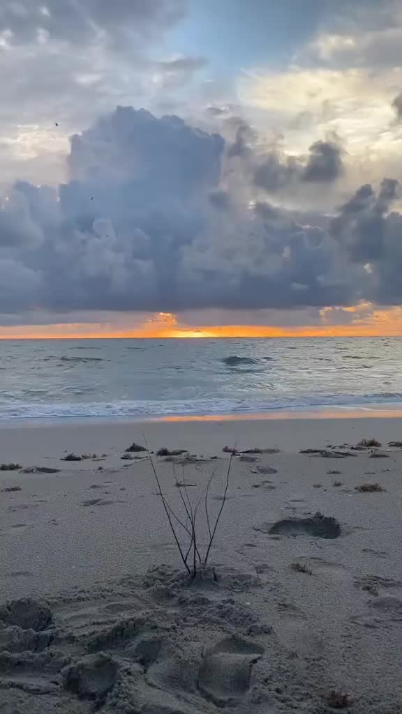 @ℬ𝒪𝒩𝒜🙏❤️