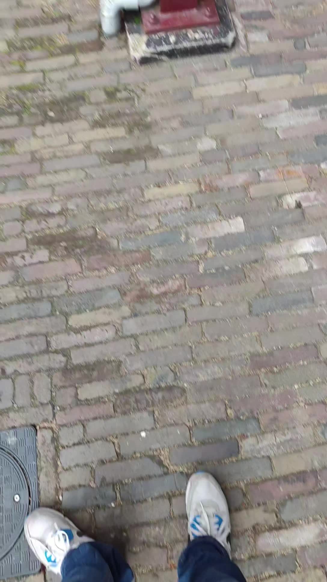 @⛓️🔊🚀🦘Dylan🦘🚀🔊⛓️