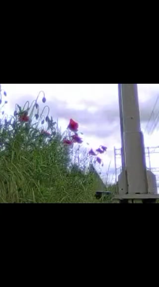@каяк