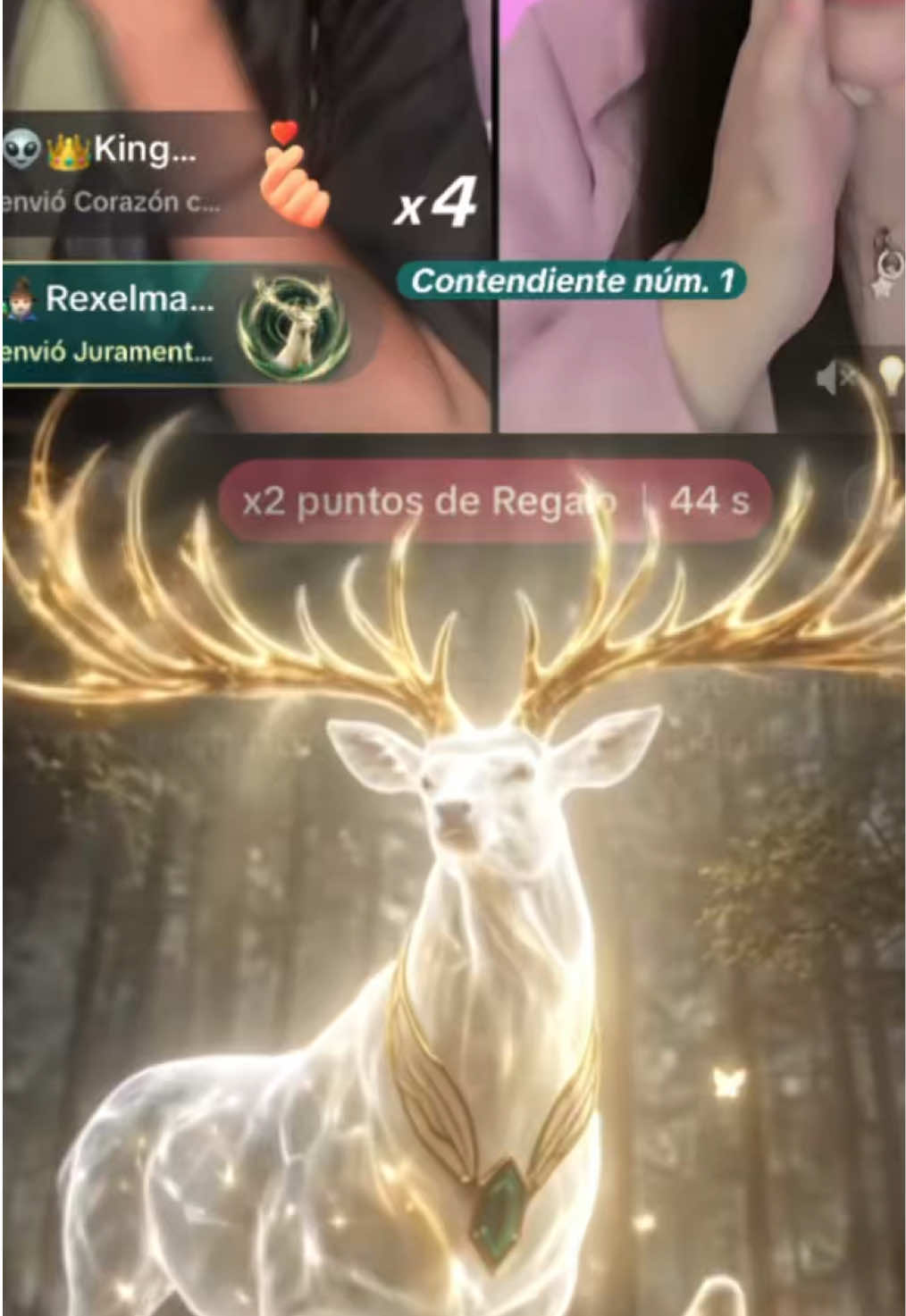 @Joaquín - Andes Panda 🐼