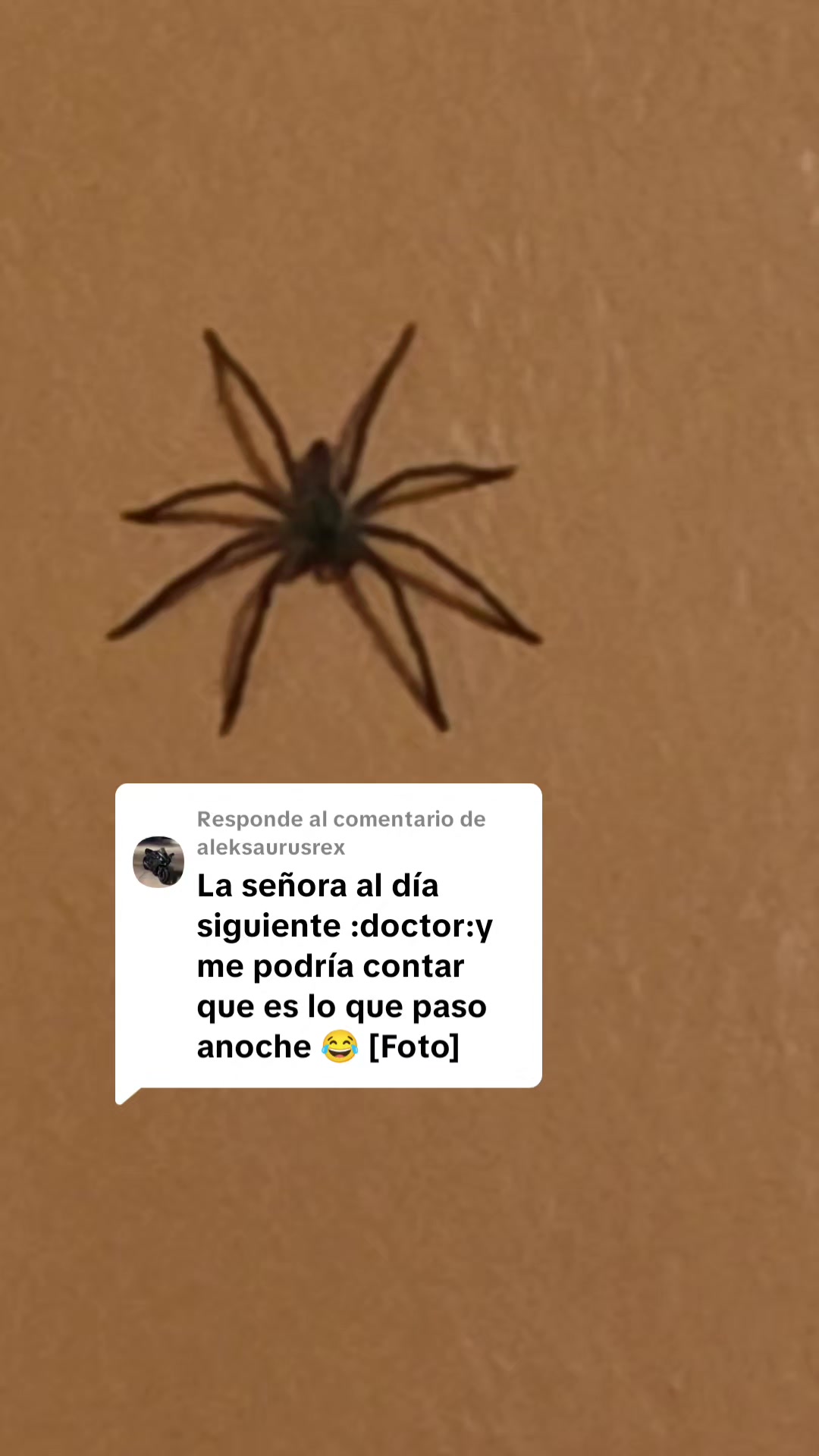 @Julia Castillo
