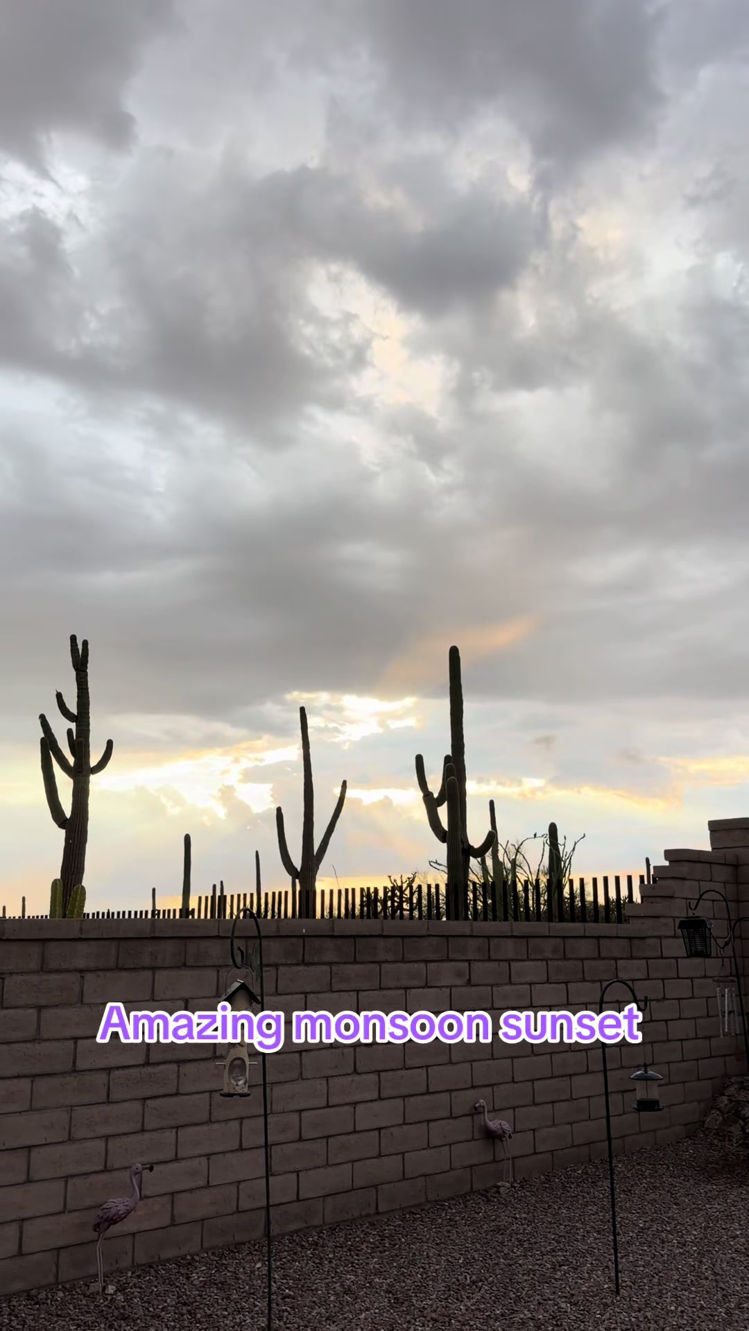 @desertgirly14