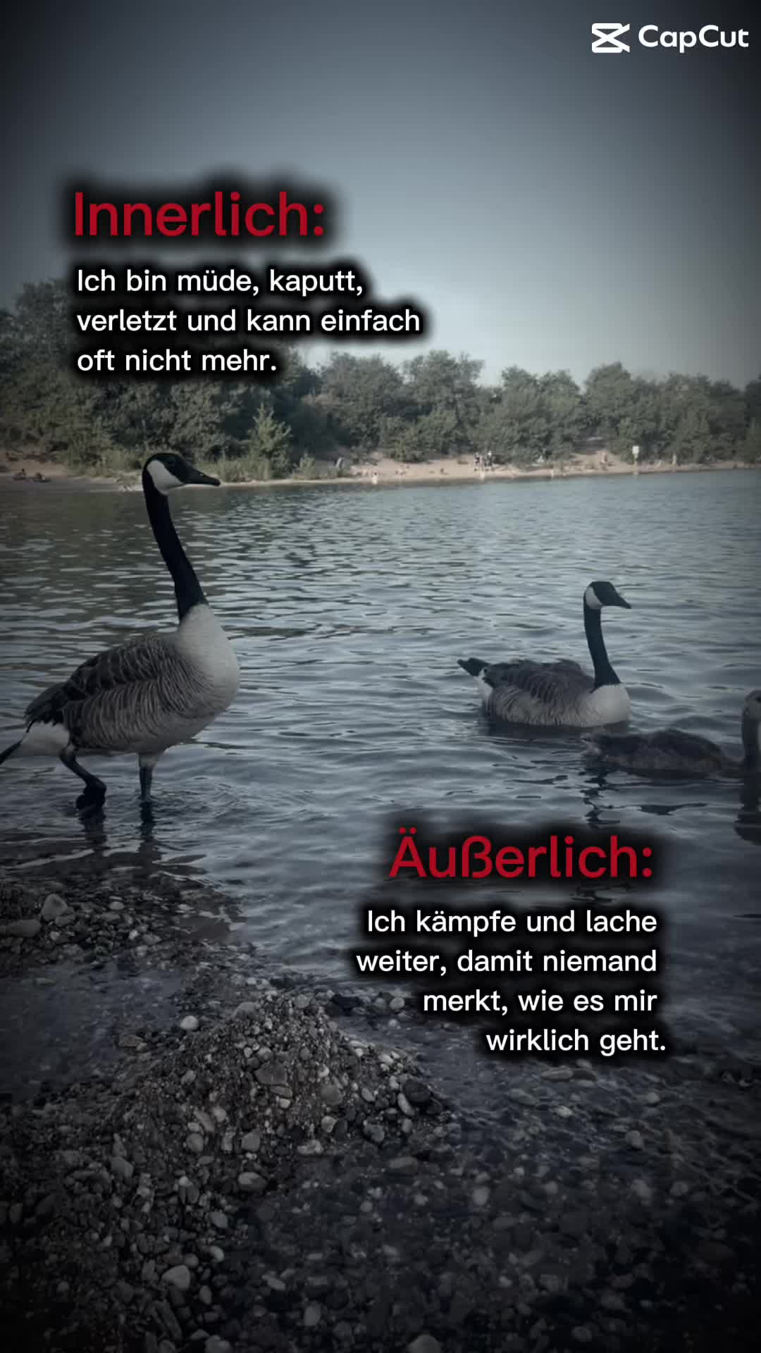 @𝓙 ᥫ᭡