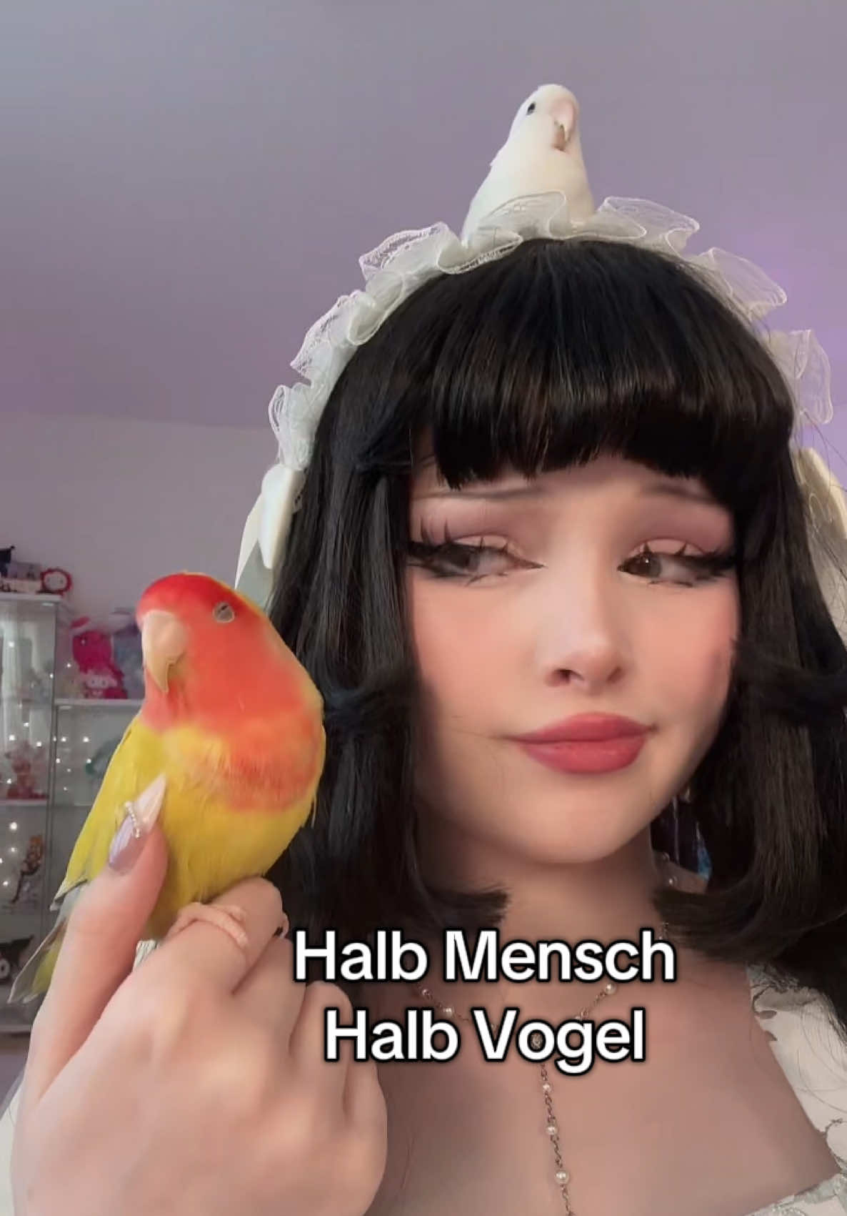 @⋆౨ৎ˚ Banni ⟡˖ ࣪