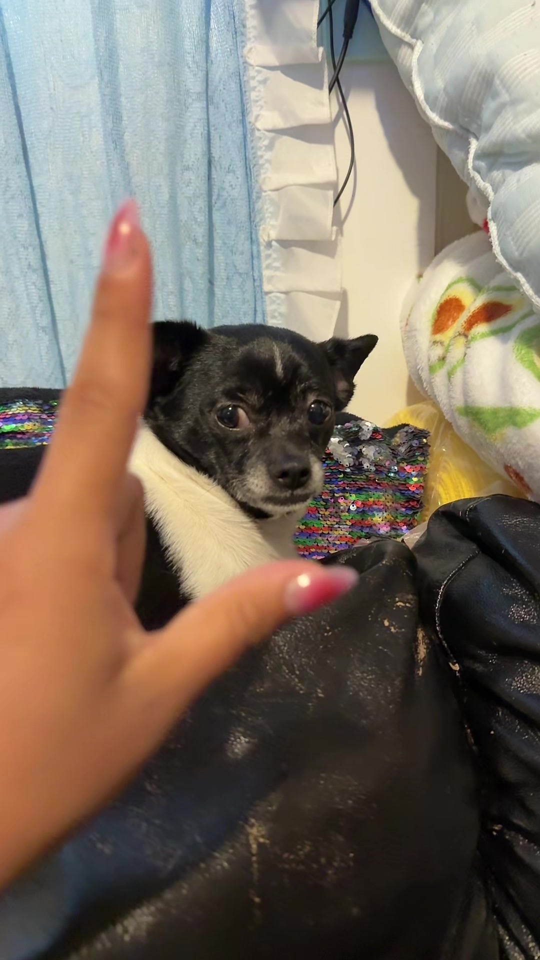 @Gln