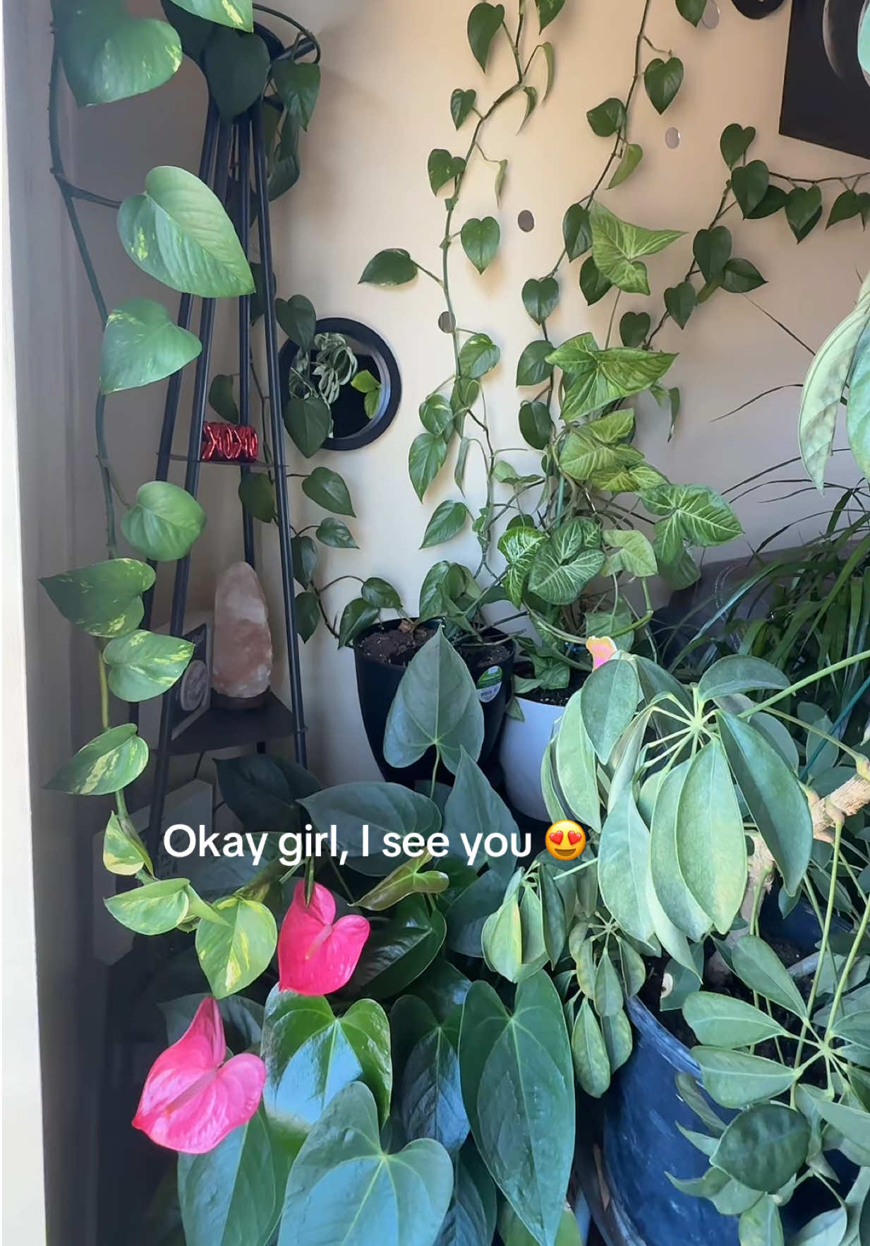 @Arielle Nicole