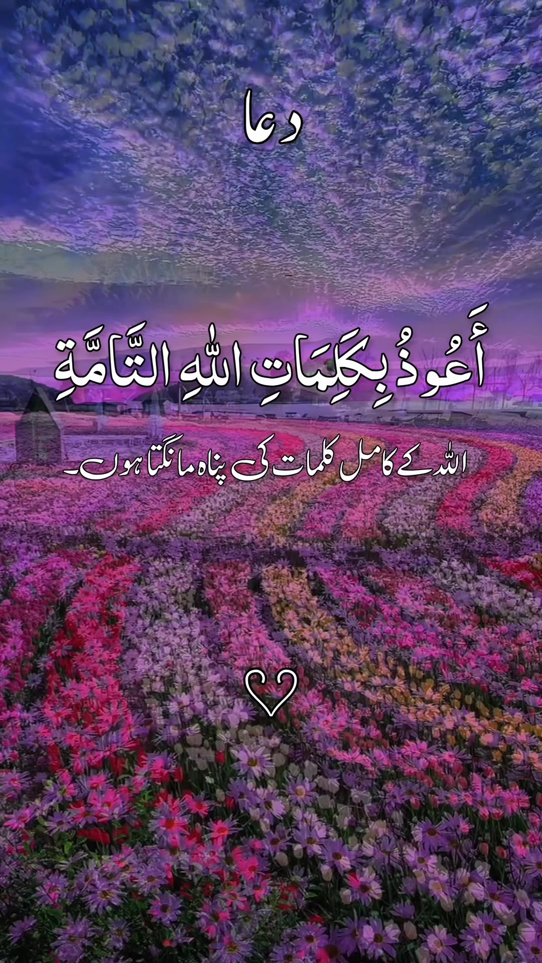 @❣️ Words of Allah ❣️