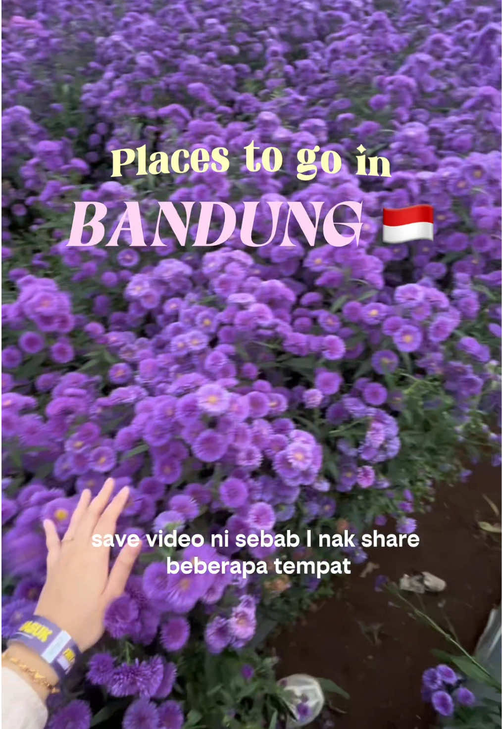 @Syuna