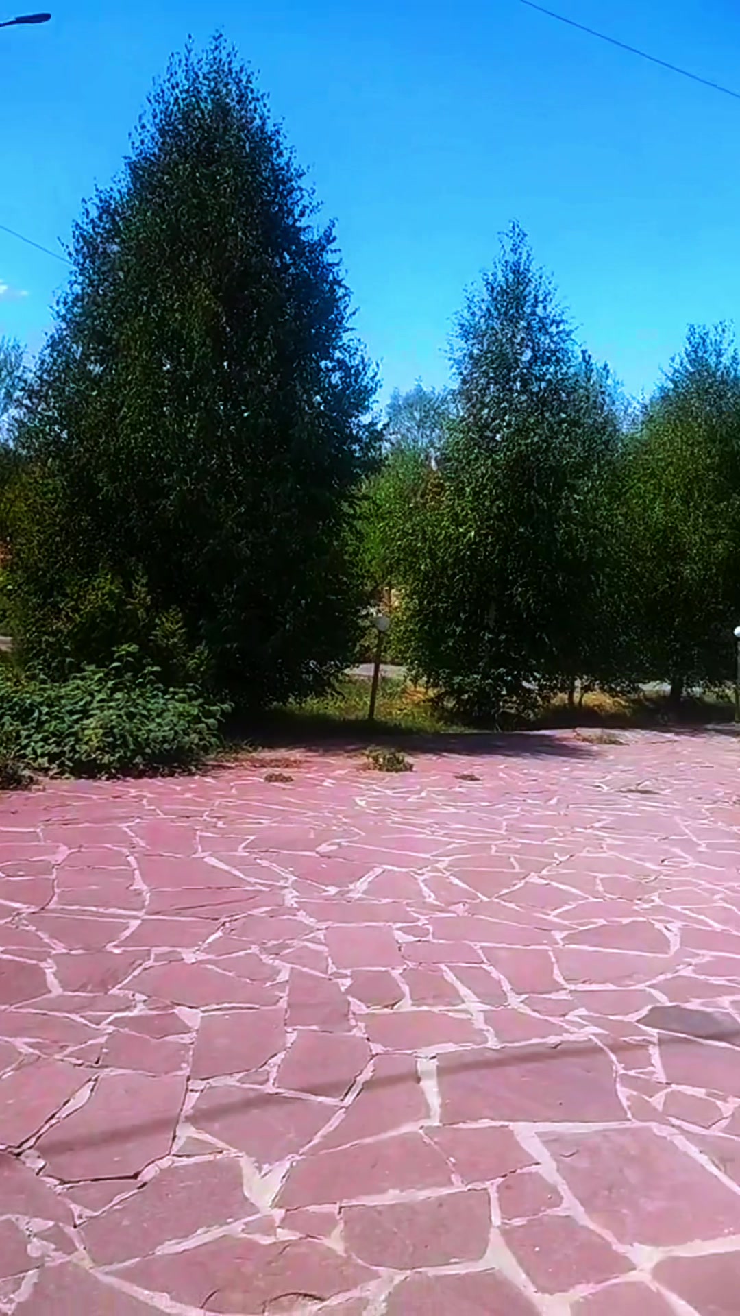 @Diana
