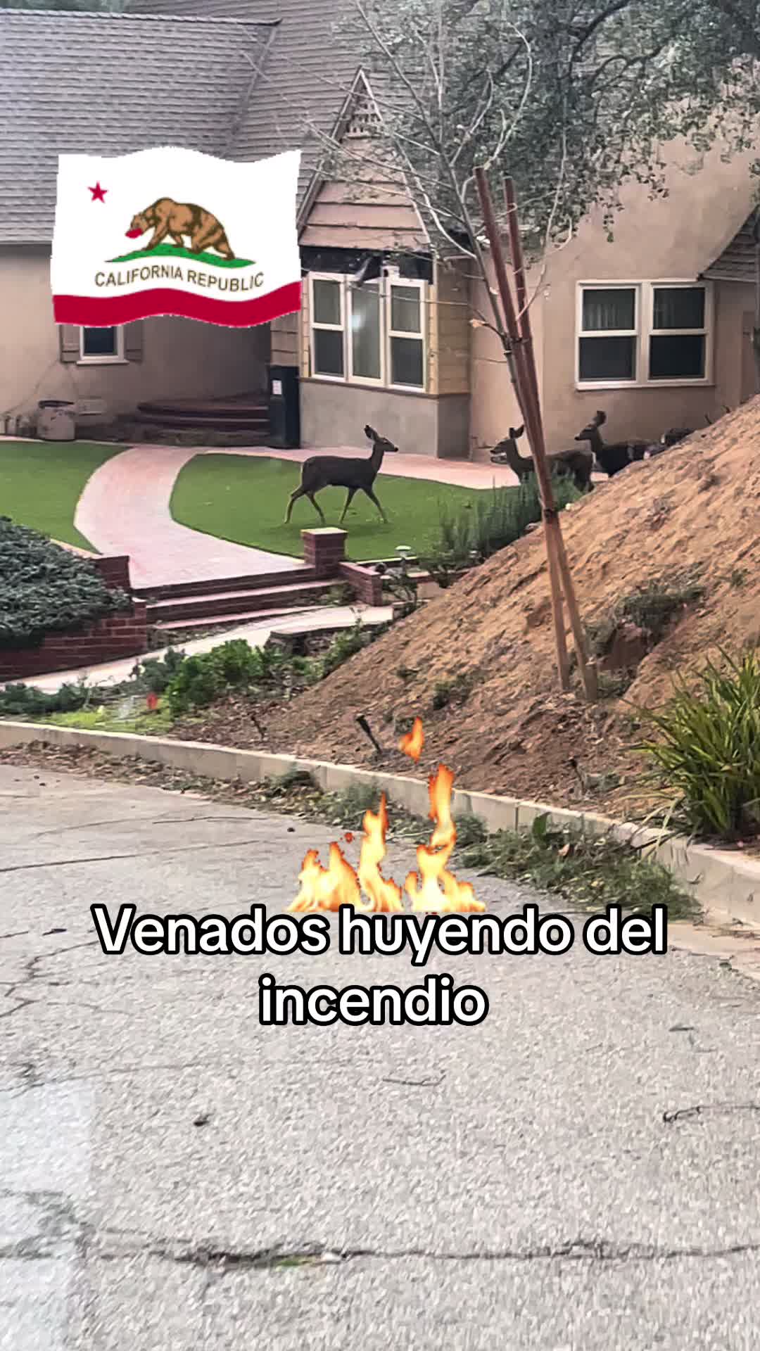 @nicoya_esteli