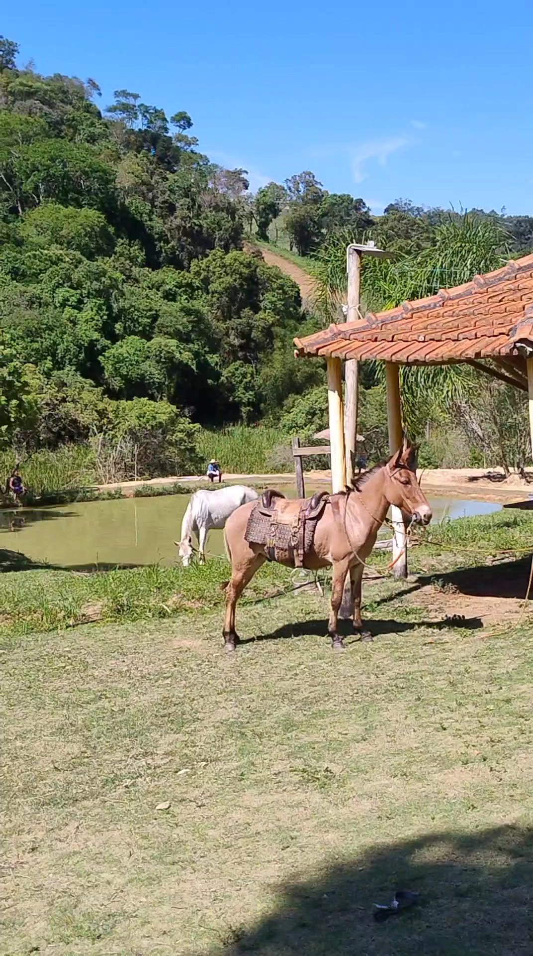 @Bruna_ofcc