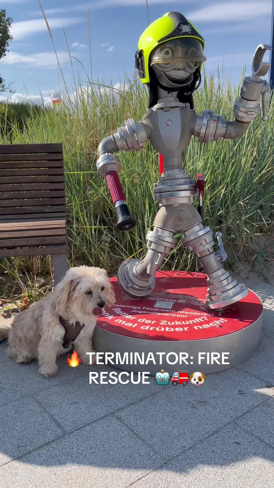 @DogMilow