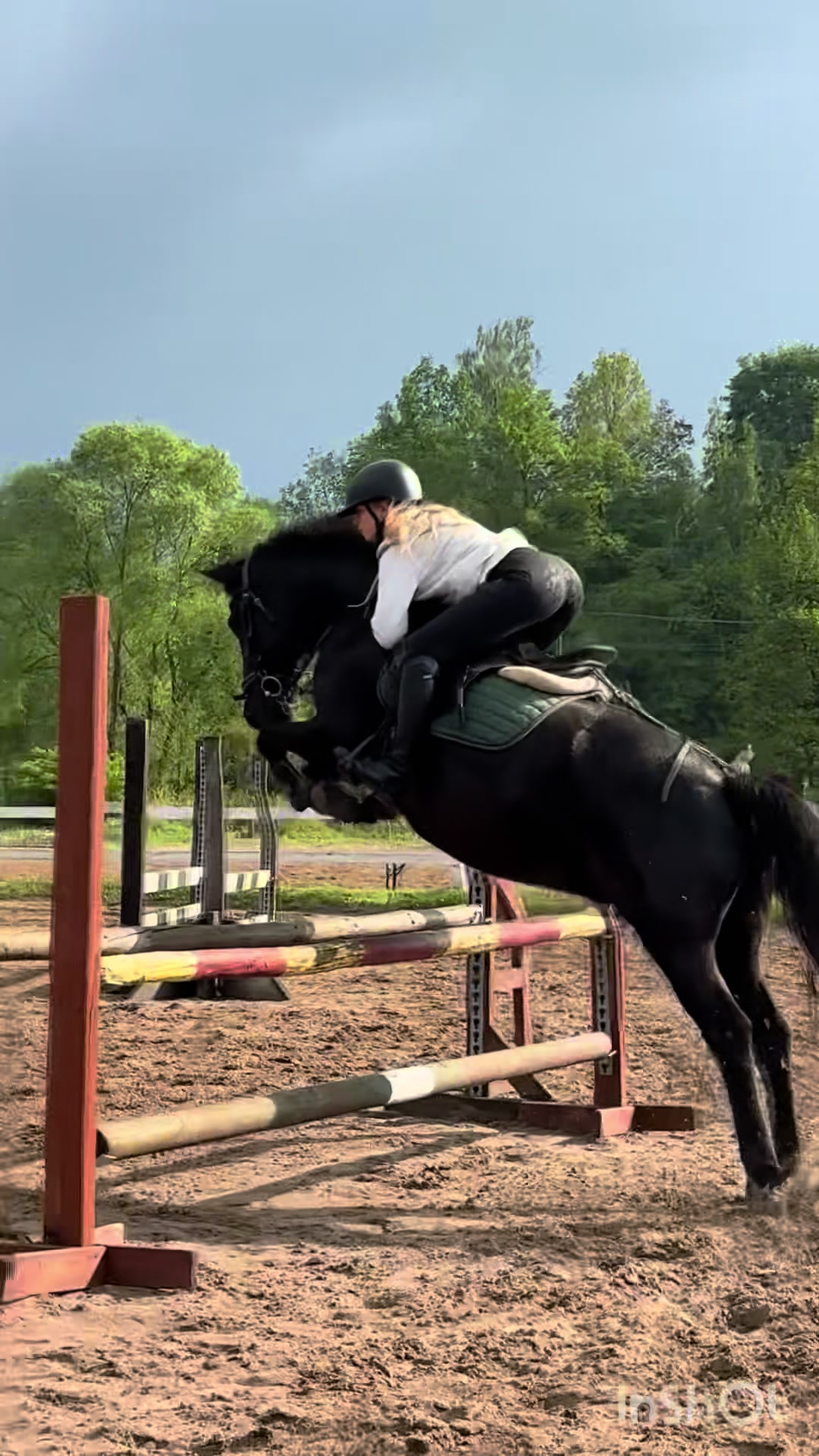 @💋🐴