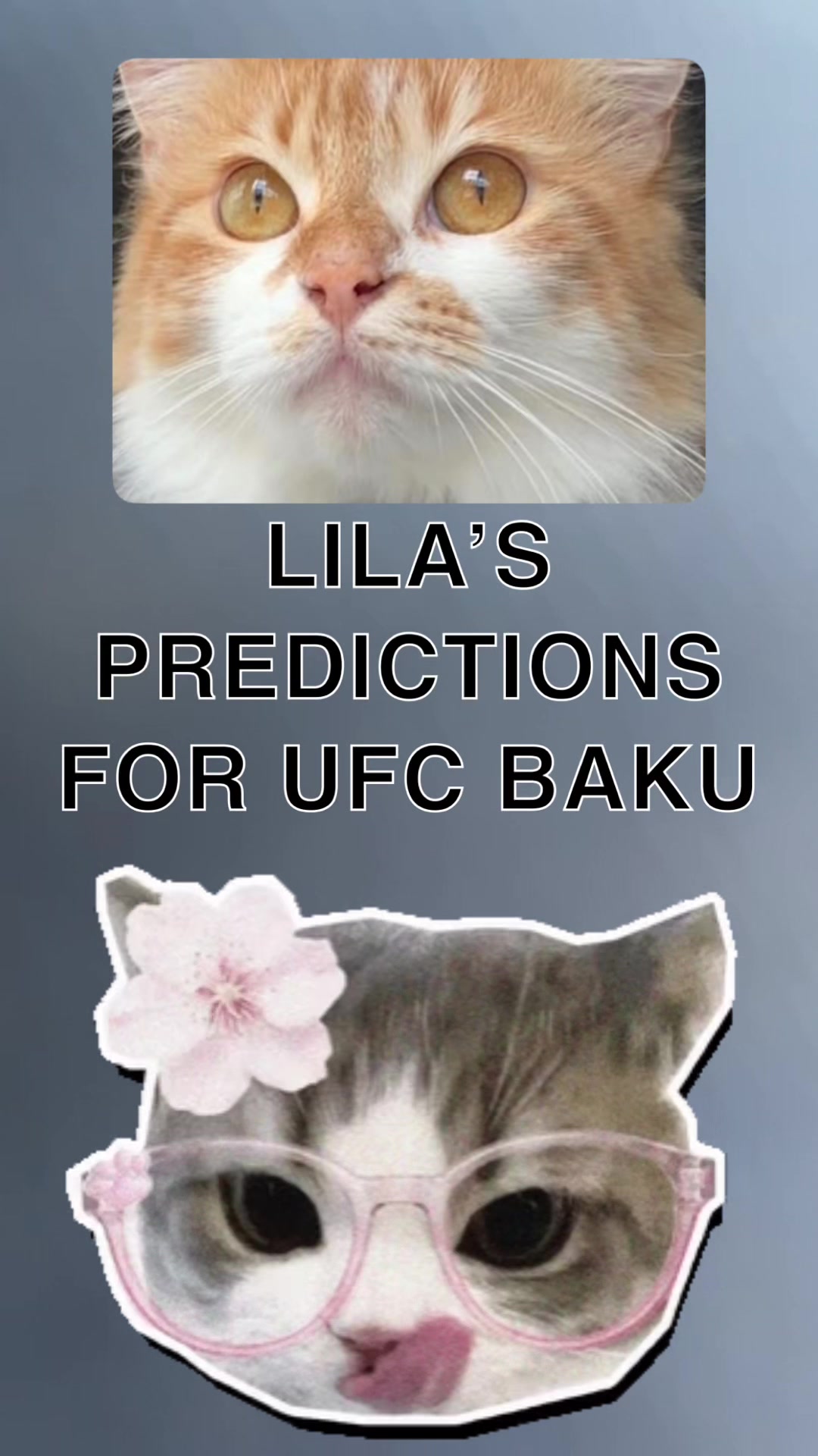 @Kitty Picks MMA