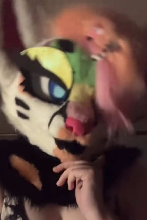 @Liger~Liger🐾🍉->FSC 26!!!