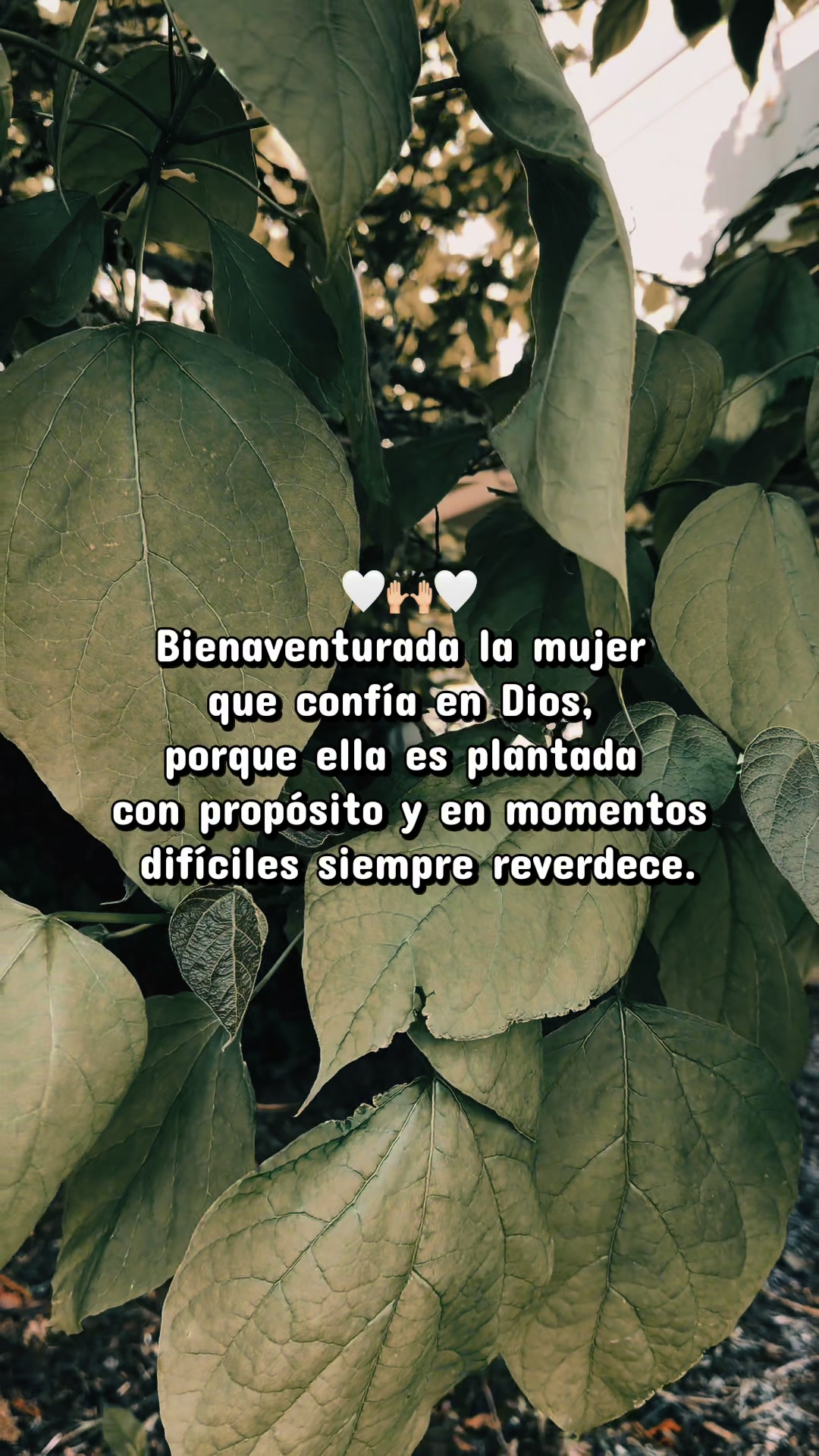 @tenemosunproposito