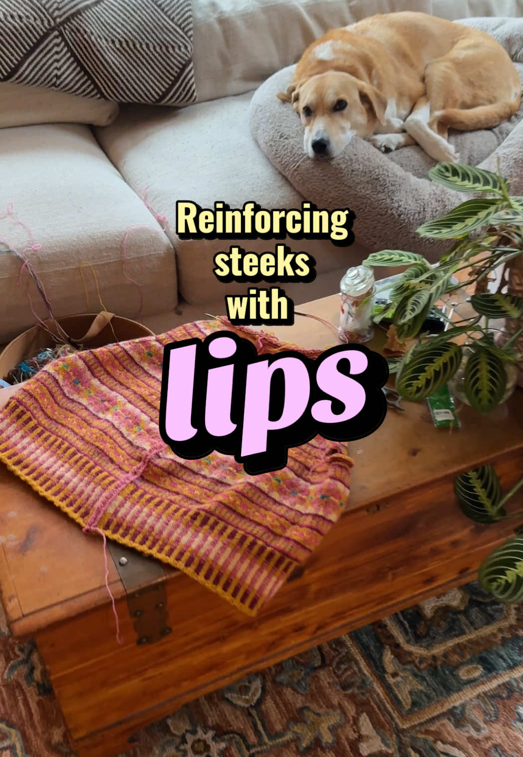 @bootsandskeins