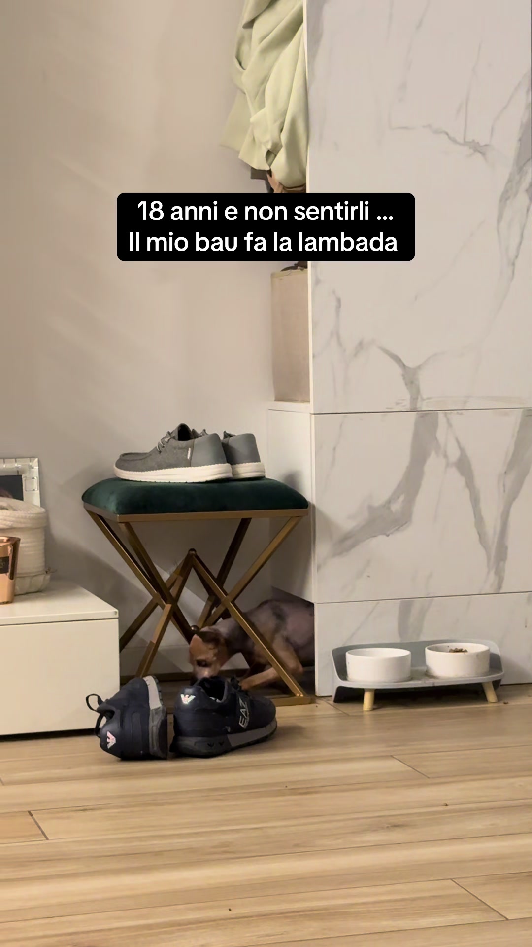 @Elisabetta Bertolini