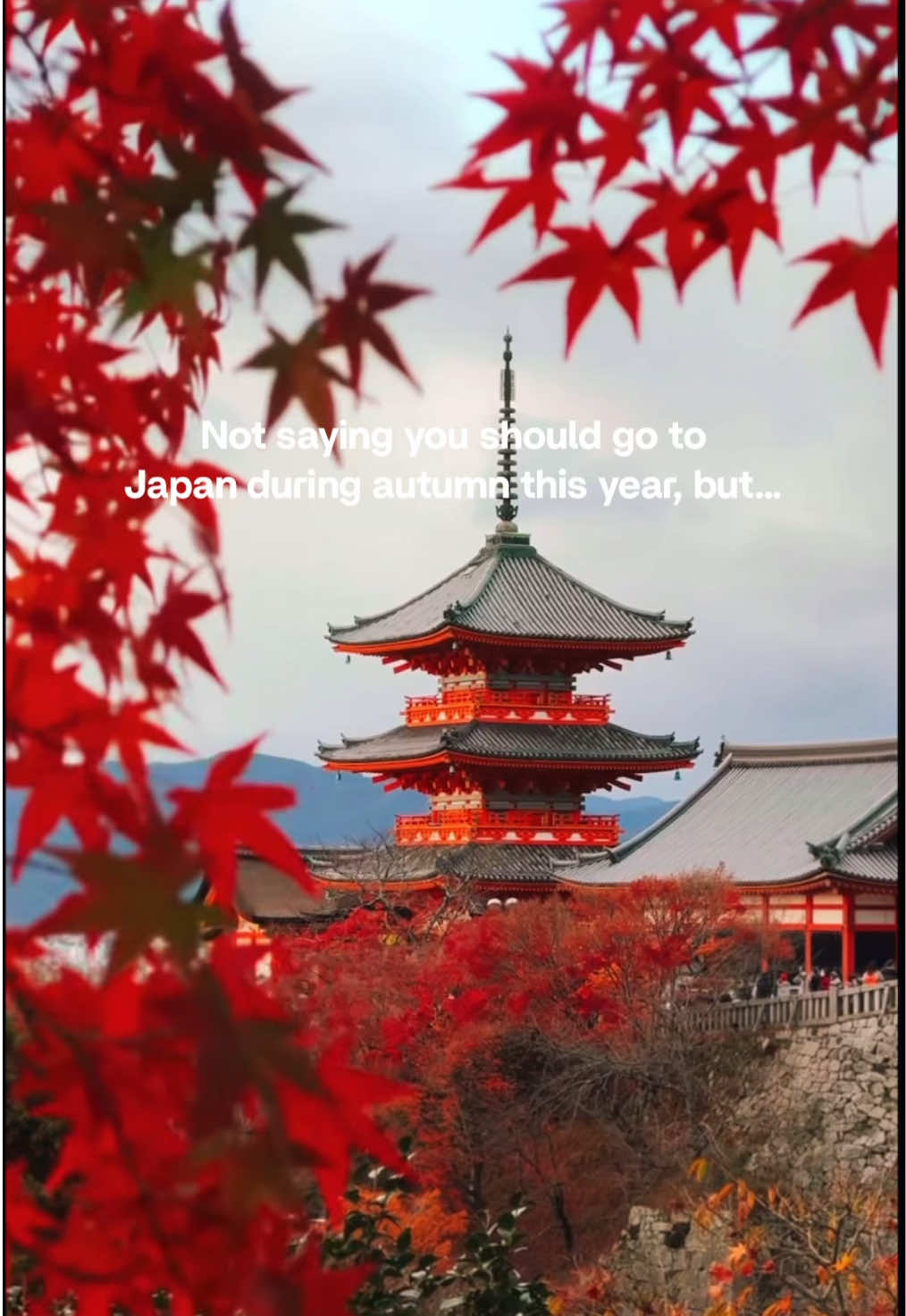 @Japan Yasumi