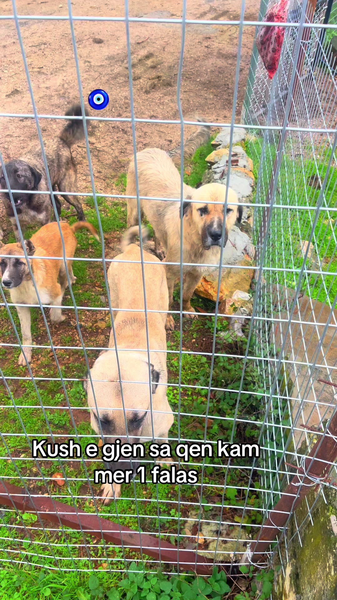 @Mǎł&scaron;&iuml;ǎ_ě_ķř&uuml;jẽş