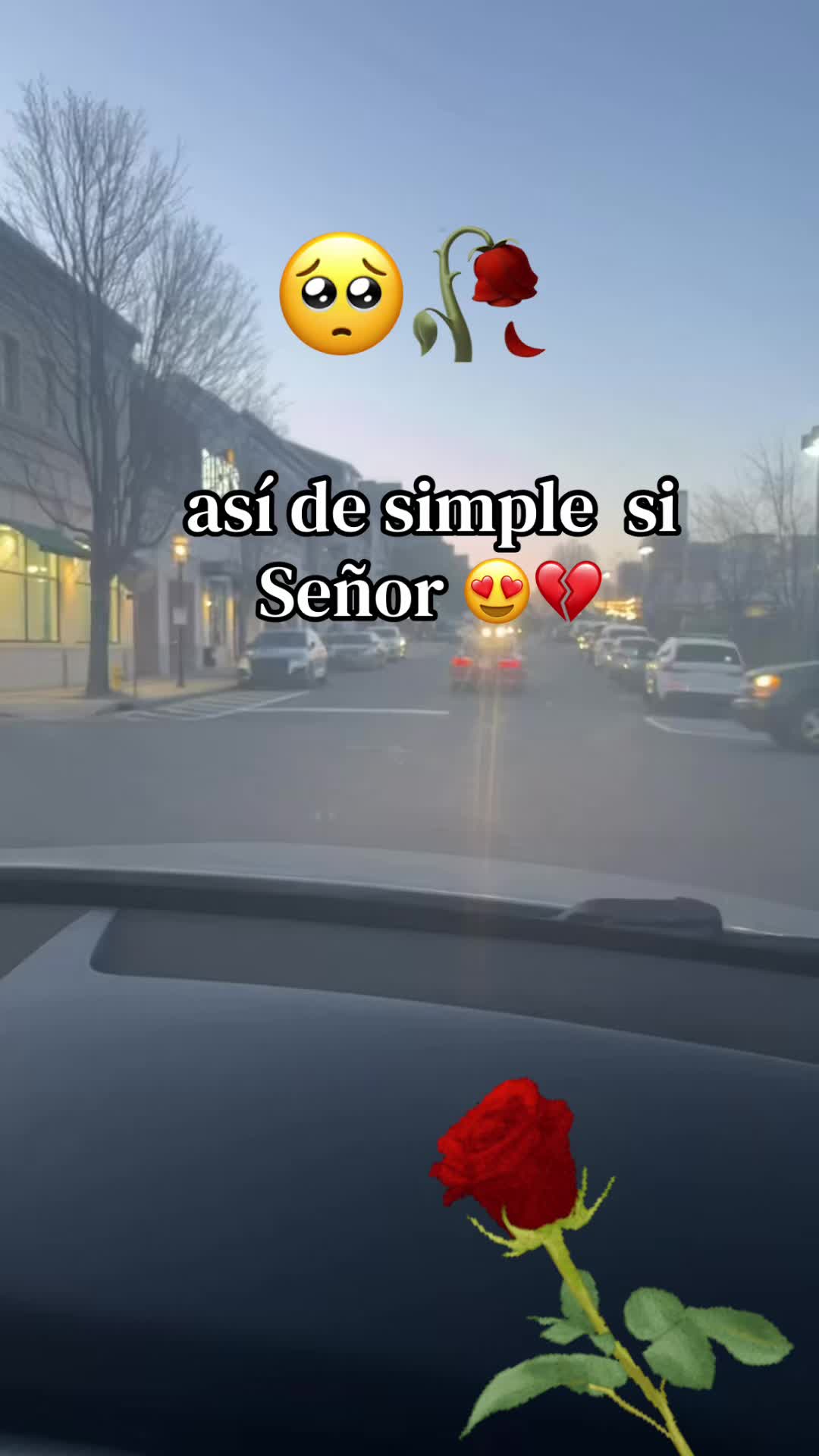 @Blanca Ayala