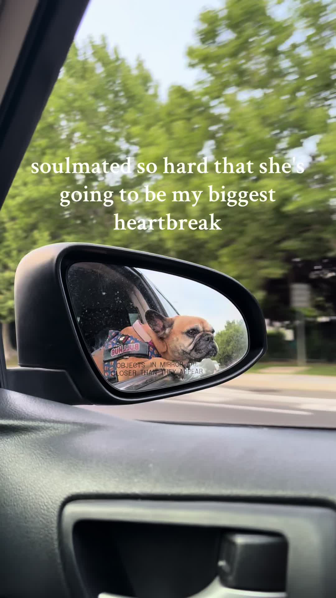 @Lisa Pearl