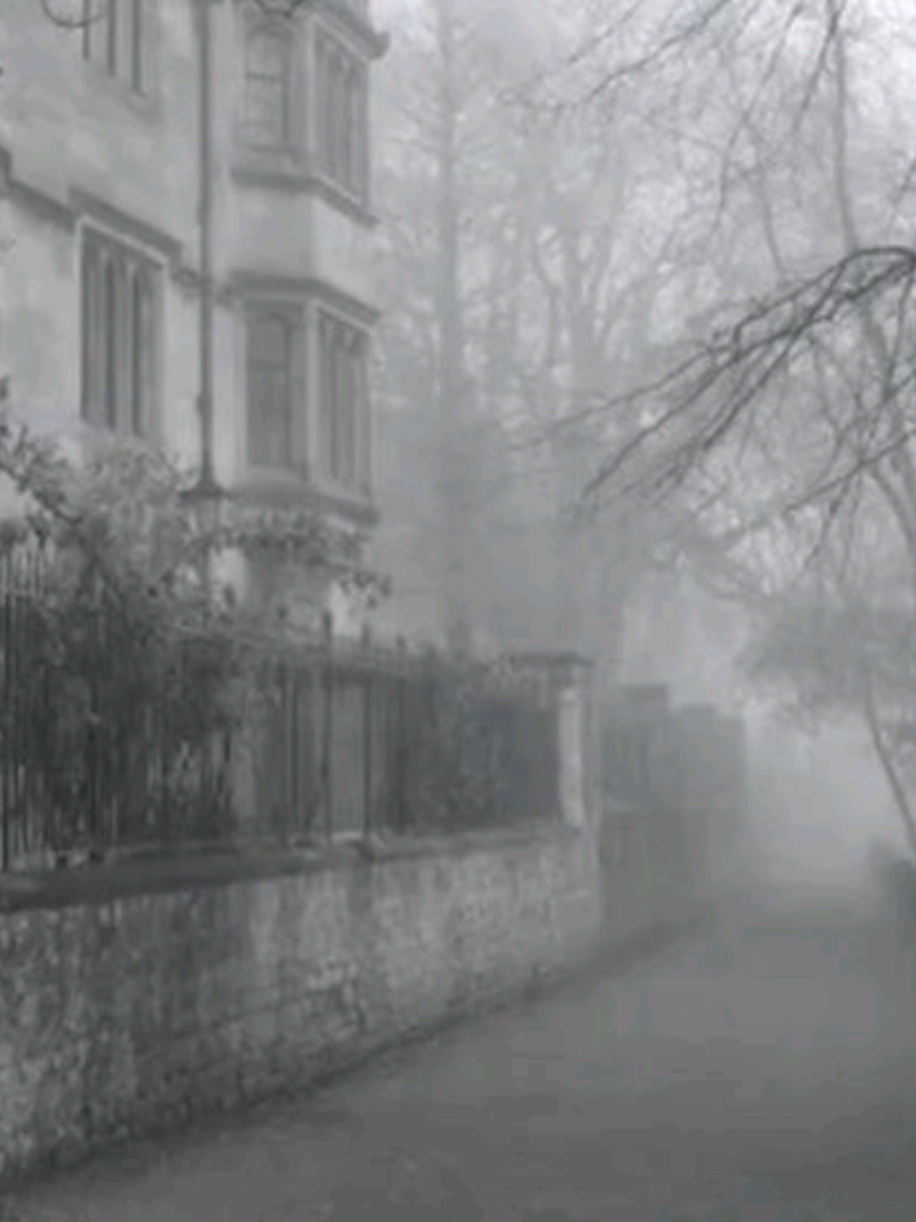 @ну типа рей?