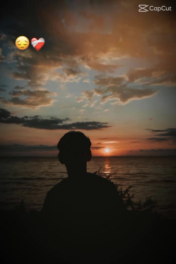 @rabivines