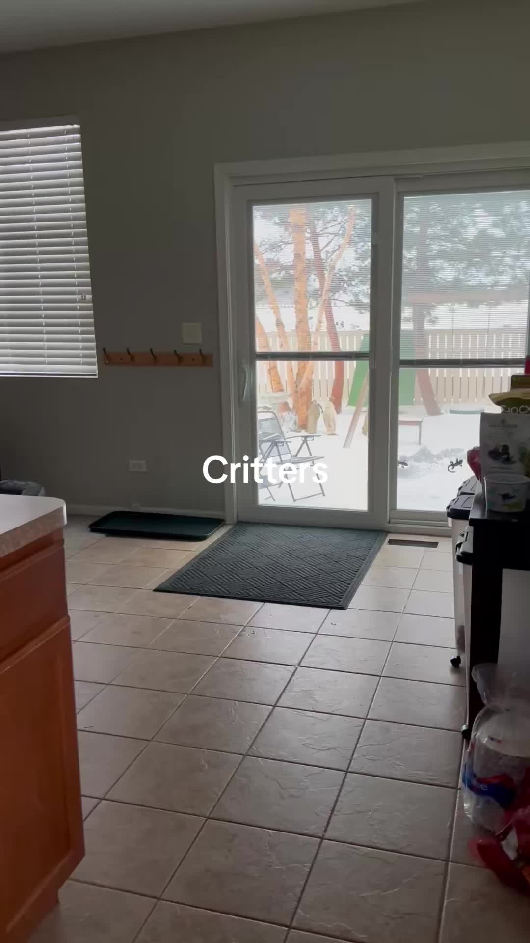@disneyautismmom