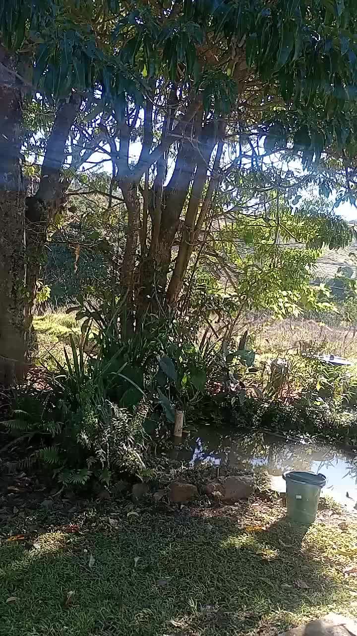 @cheirodasaguasbj