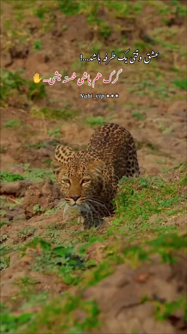 @𝑵𝒂𝒃𝒊 _𝒗𝒊𝒑 ⭑⭑⭑