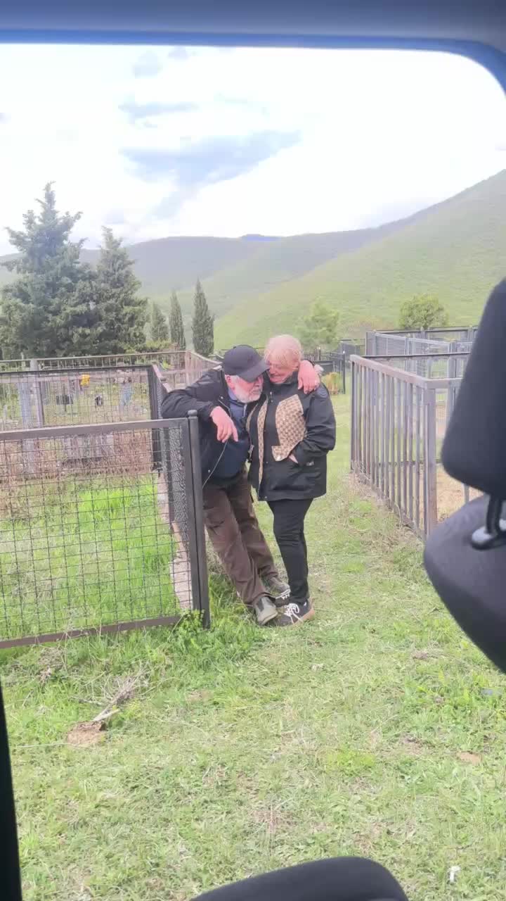 @🐝 მაიკო 🐝
