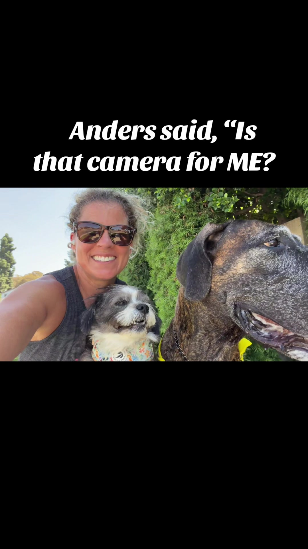 @Anders Bees Knees Great Dane