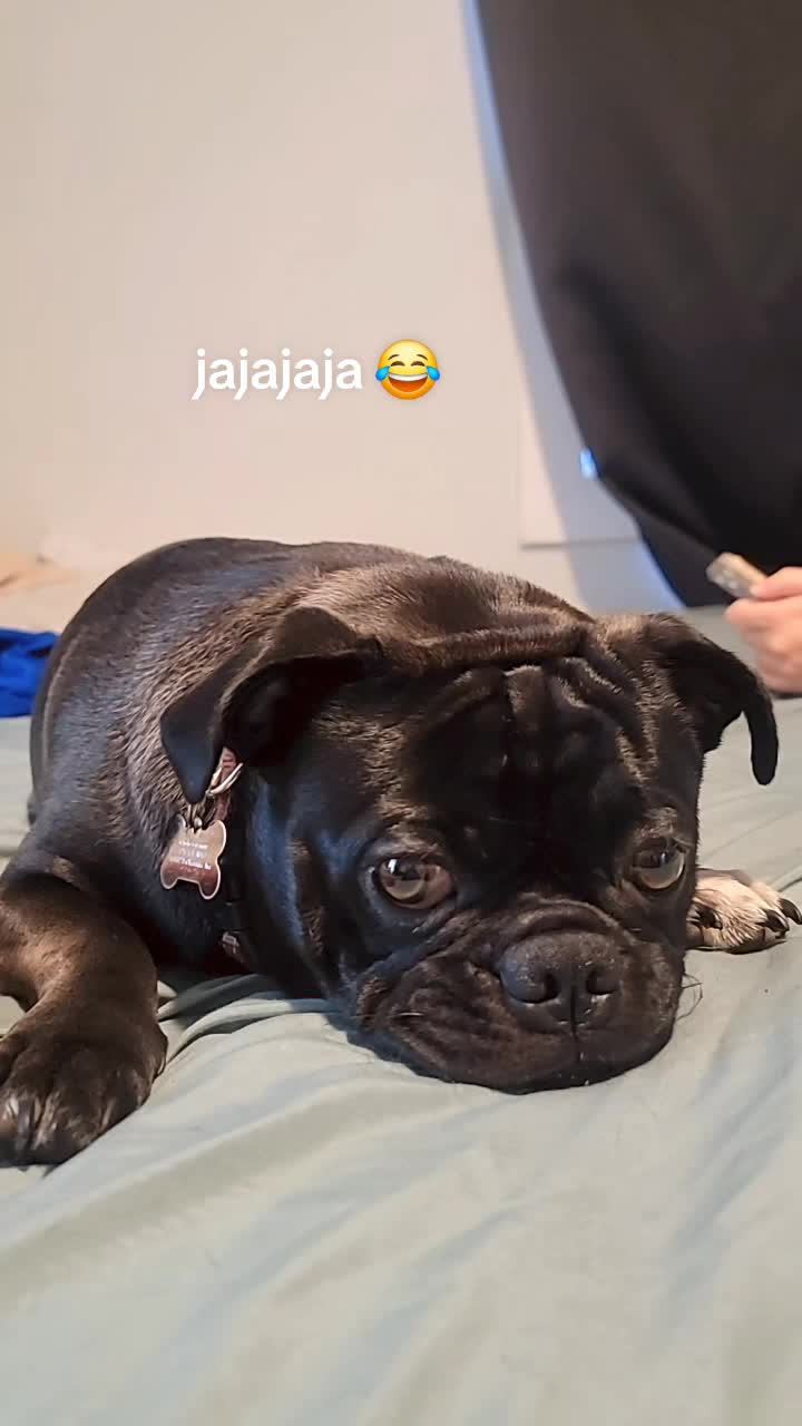 @Claribella 🦋🦋