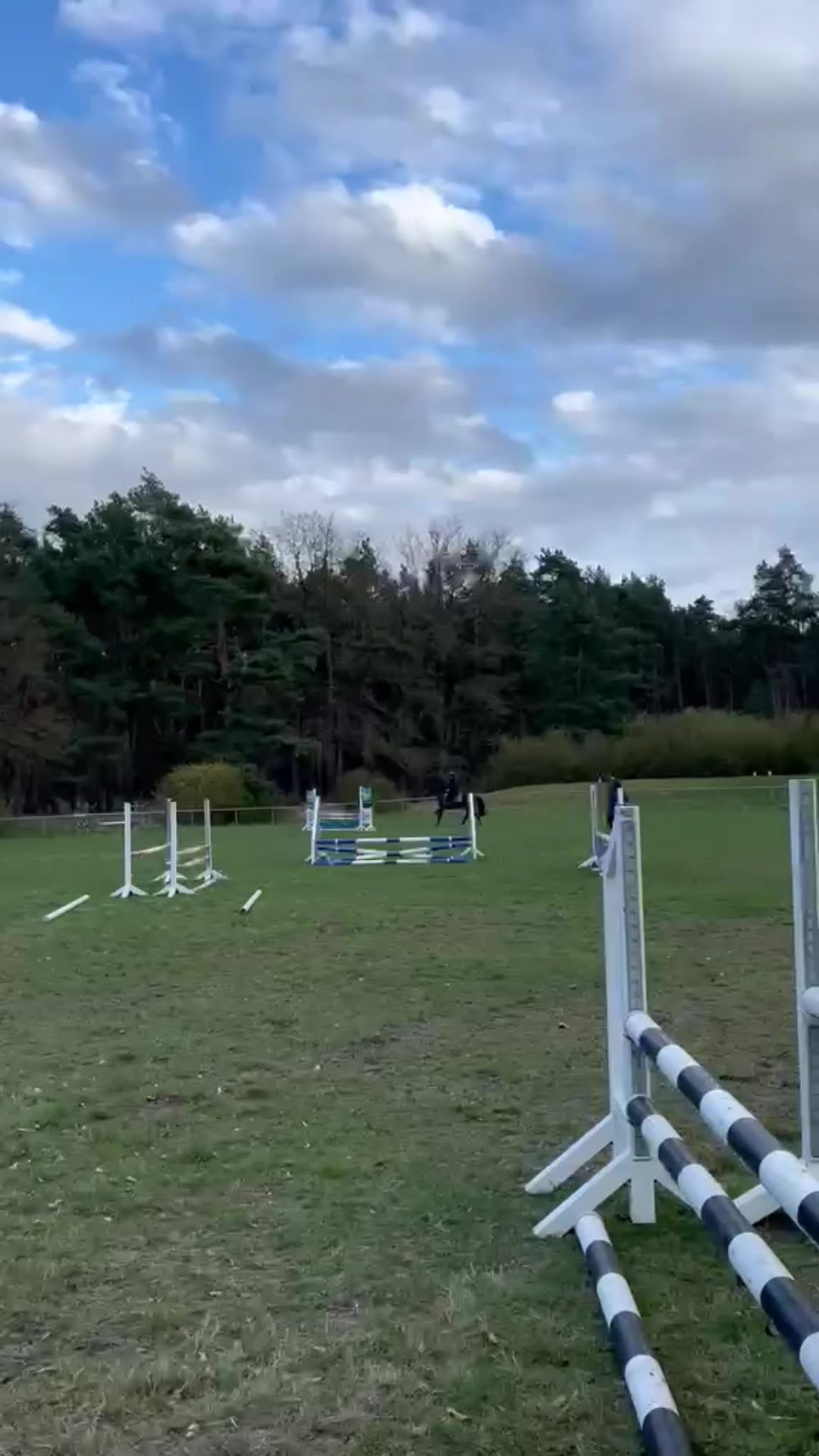 @springpony_donar
