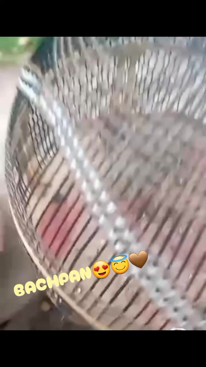 @MوBیN 🤟BنGگSH🥷