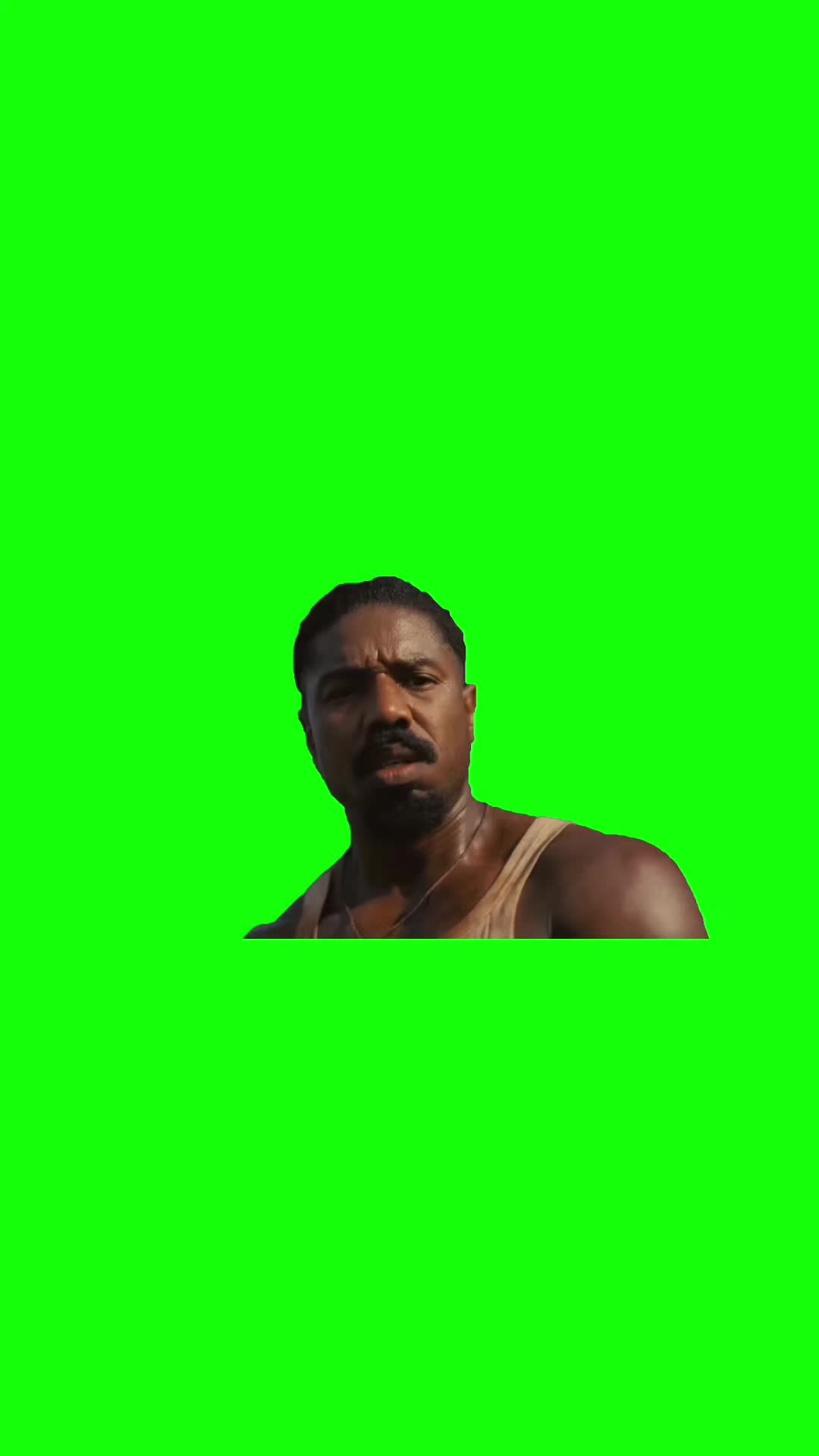 @Chief Green Screens