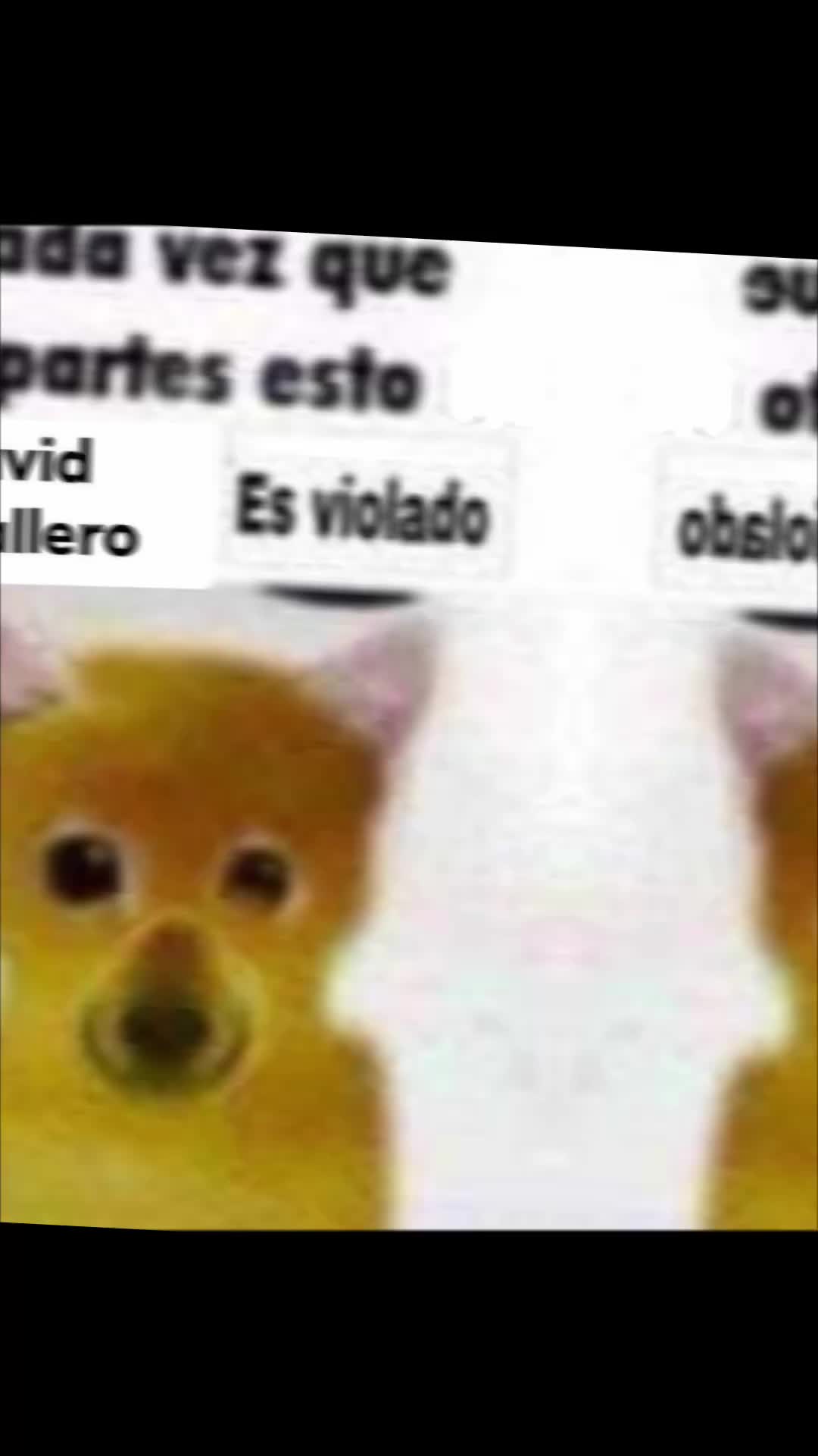 @Jos&eacute; Hdz