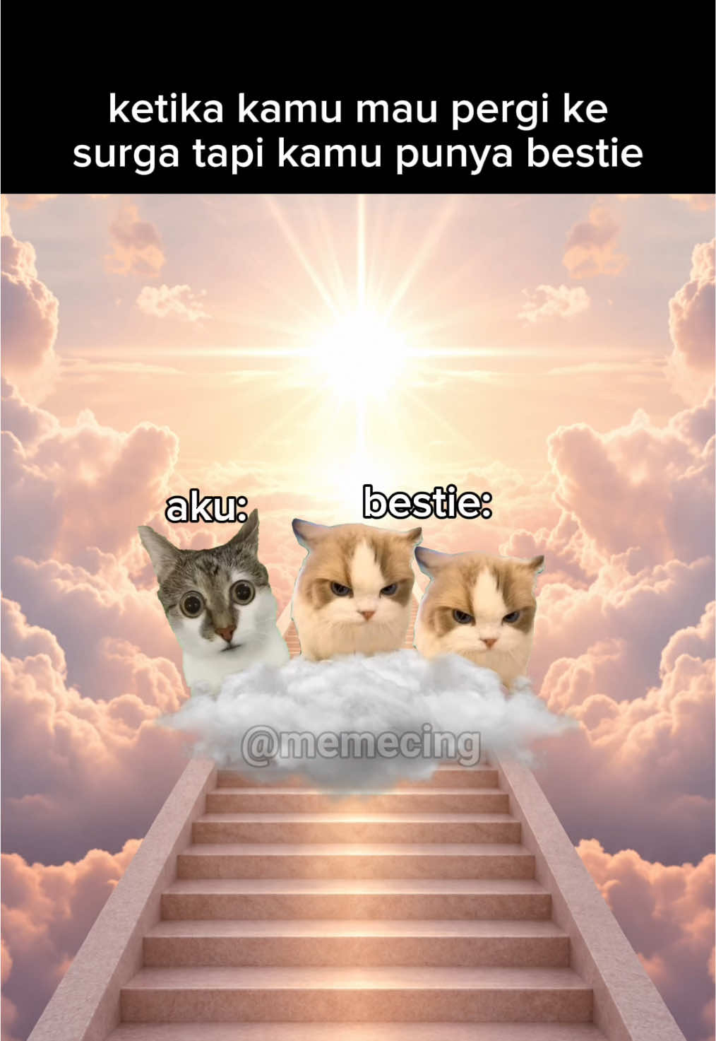 @Memecing