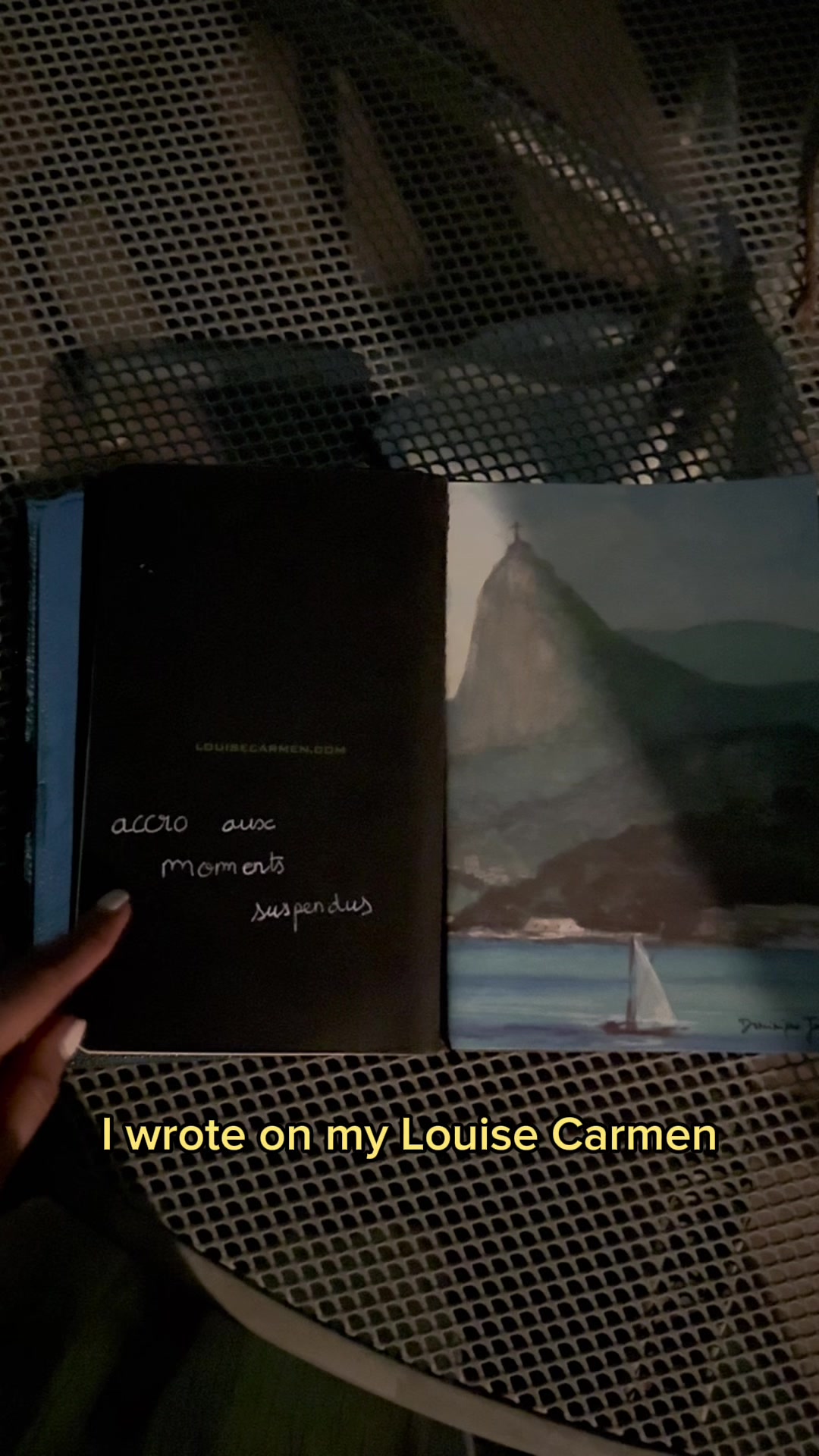 @louisecarmennotebooks