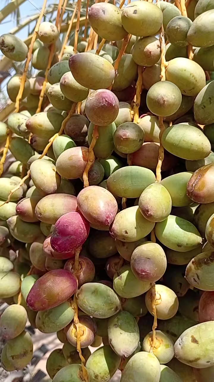 @আমিহীন দুনিয়া 😥😥😥☝️☝️000