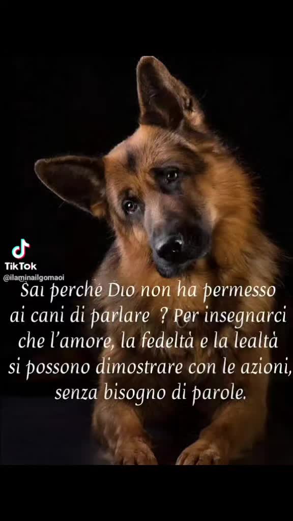 @Elisabetta