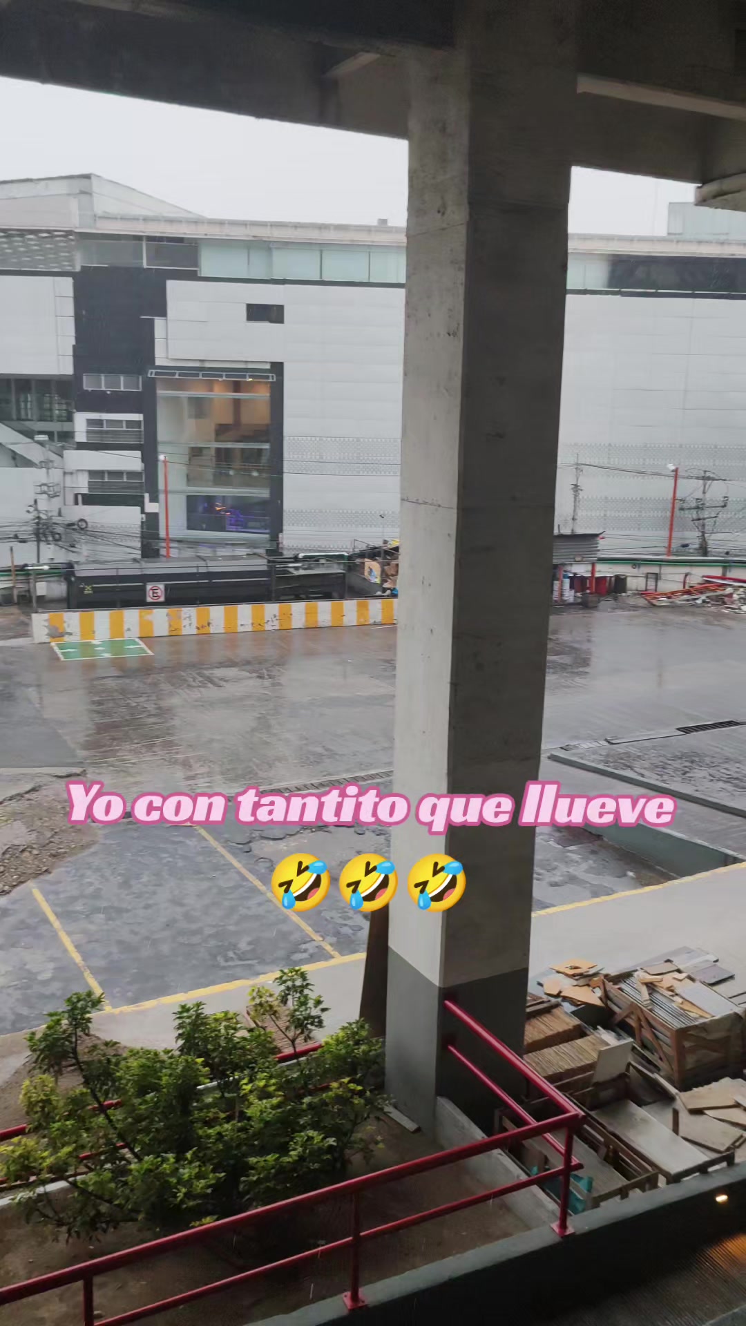 @✝ Verito CT Torres ✡