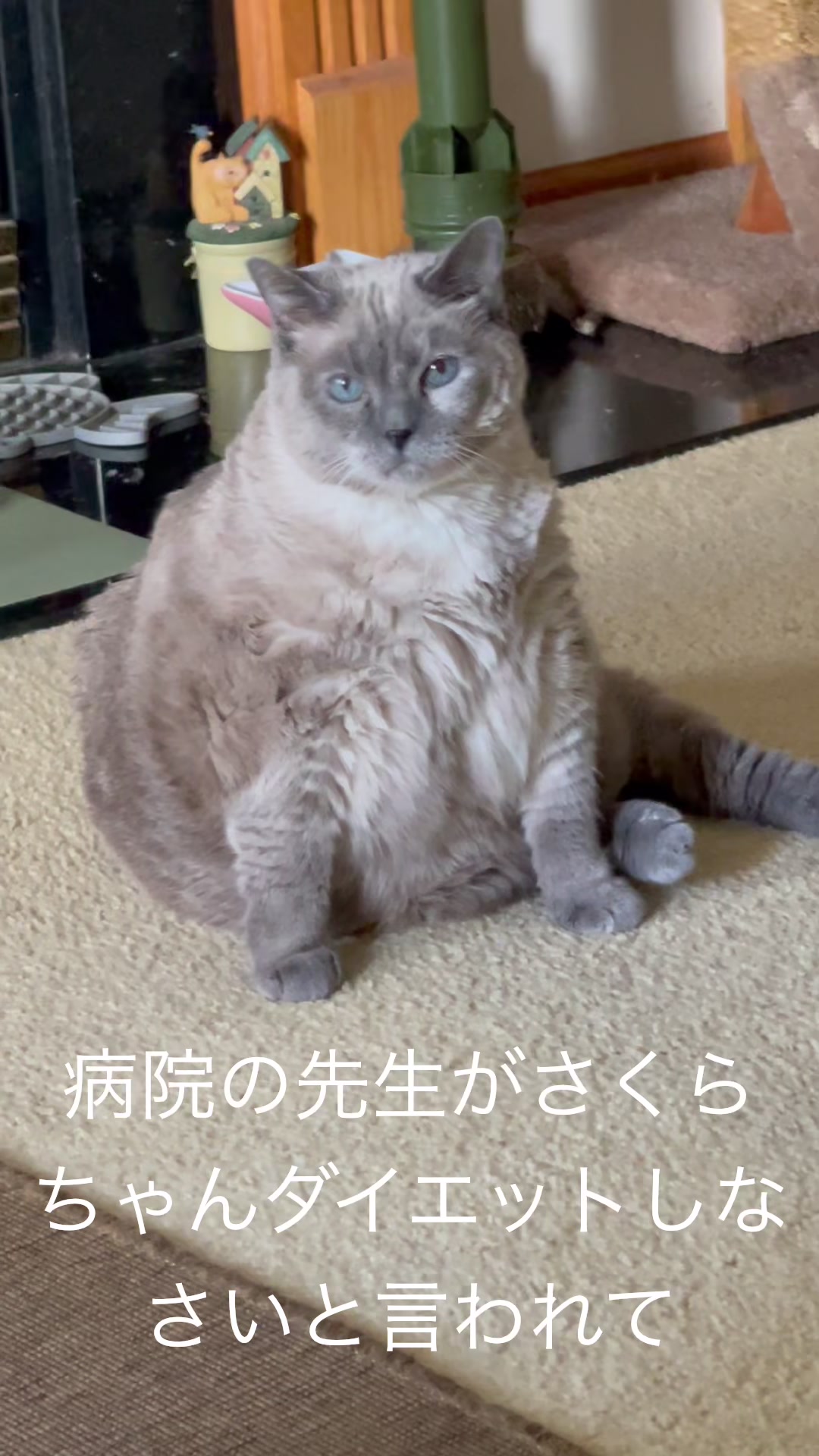 @sakurahana016