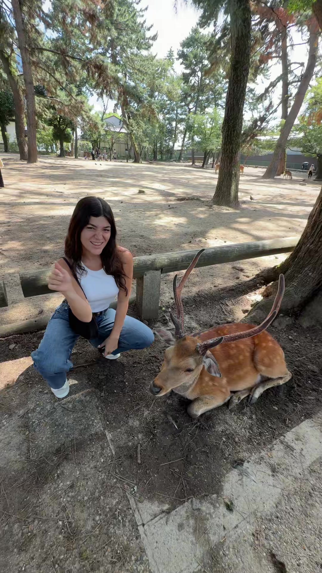 @Tai🧚&zwj;♀️