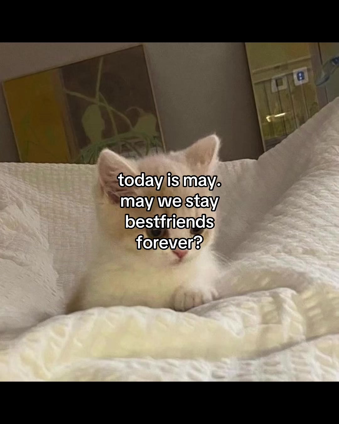 @deep.meow