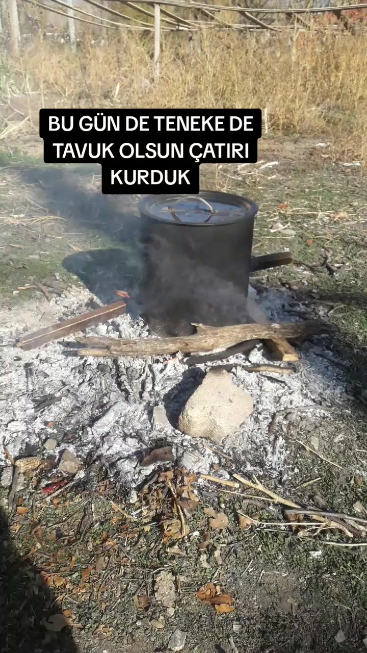 @BAŞOĞLU HALI KOLTUK YIKAMA