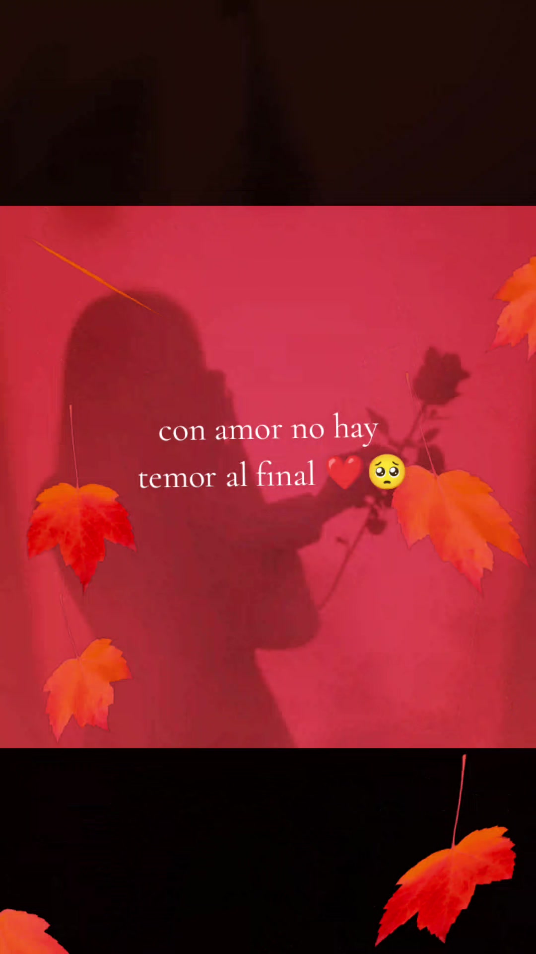 @Cristy LR