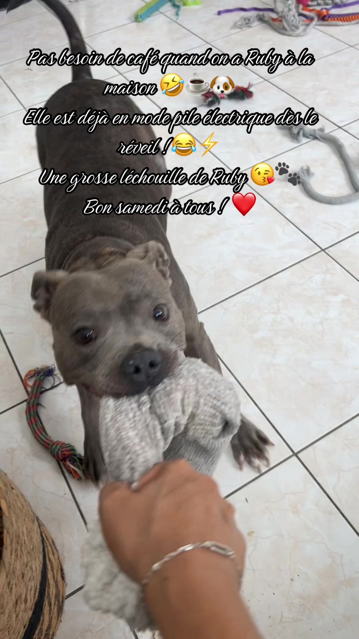 @rubylove_staffie94